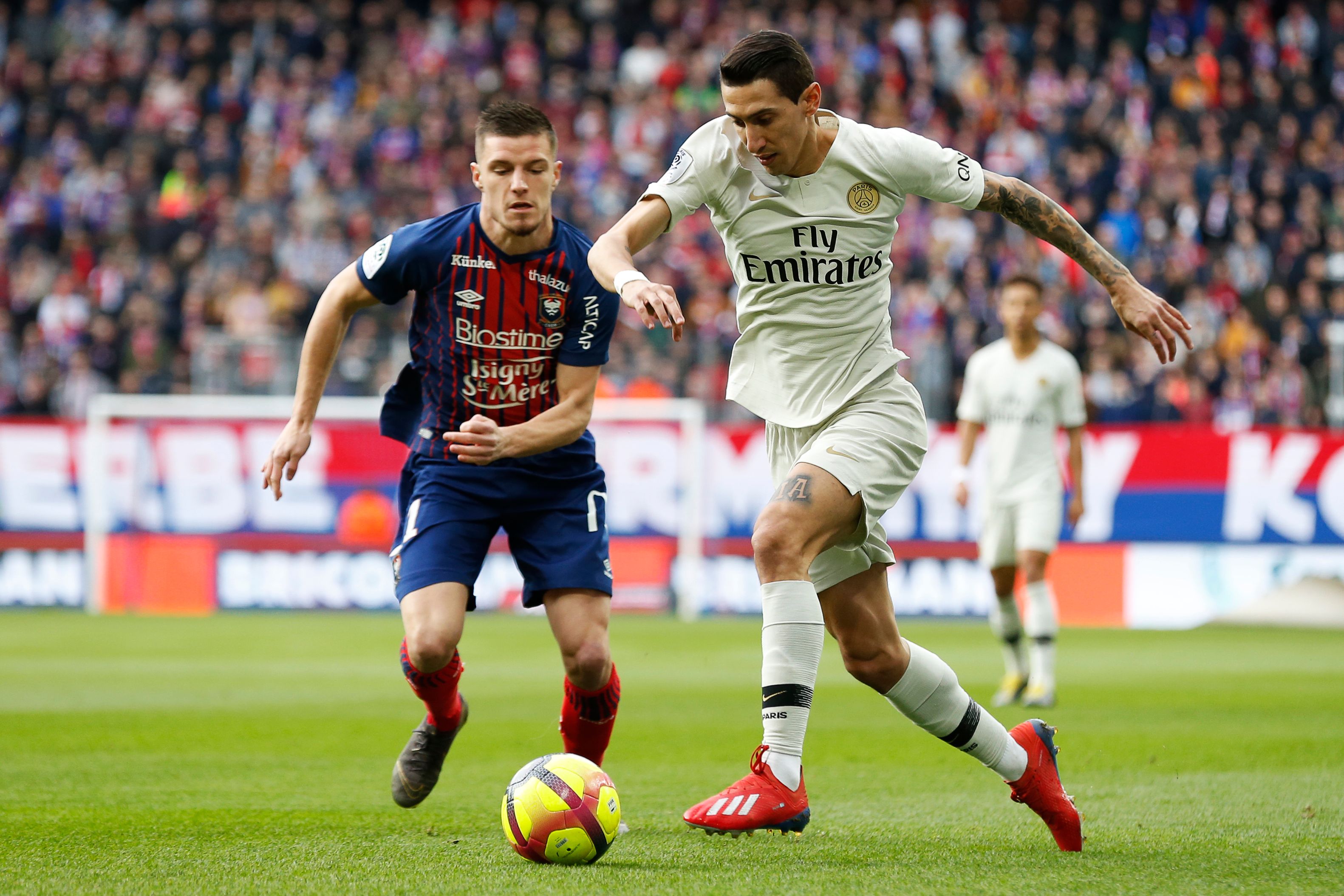 满足了对自 满足了对自